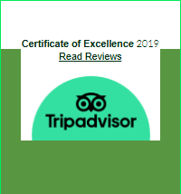 Certificate of Excellence Award 2019